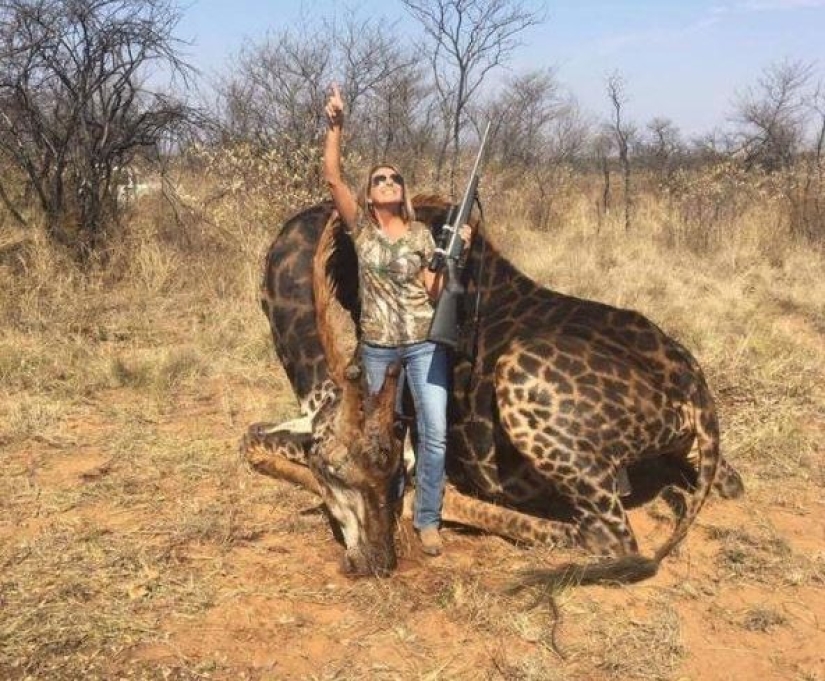 Una cazadora sedienta de sangre mató a una rara jirafa negra y cosió una funda de su piel