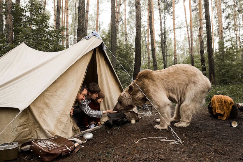Una familia rusa se hizo amiga de un oso en el bosque para una campaña contra la caza Una familia rusa se hizo amiga de un oso en el bosque para una campaña contra la caza