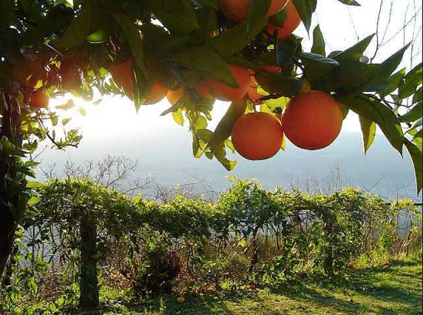 Una finca italiana del siglo XVII se rifa en una lotería por 150 rublos