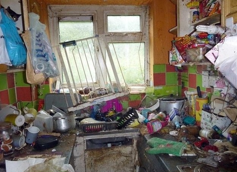 Una gatina británica fue enviada a prisión y se le prohibió tener animales de por vida después de lo que vio en su apartamento