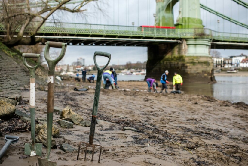 Una isla de toallitas húmedas ha aparecido en Londres Una isla de toallitas húmedas ha aparecido en Londres