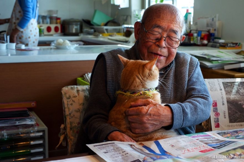 Una mujer japonesa resucitó a su abuelo regalándole un gatito Una mujer japonesa resucitó a su abuelo regalándole un gatito