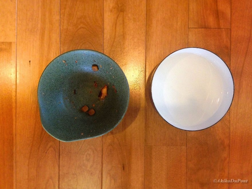 Una mujer japonesa resucitó a su abuelo regalándole un gatito Una mujer japonesa resucitó a su abuelo regalándole un gatito