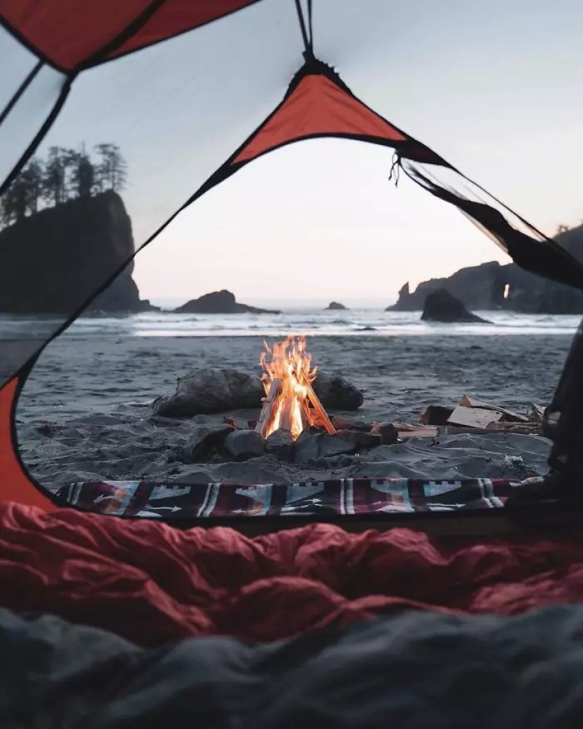 Una nueva tendencia de turismo salvaje: carpas con paredes transparentes Una nueva tendencia de turismo salvaje: carpas con paredes transparentes