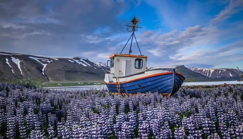 Una pareja de Polonia visitó 50 países y logró gastar solo $ 8 al día al mismo tiempo