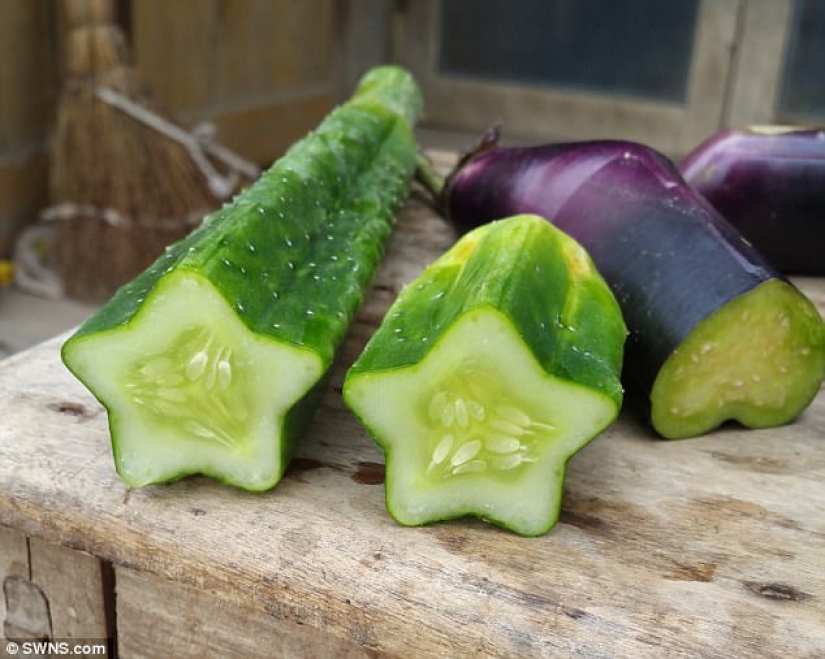 Una pera en forma de Buda y otras verduras y frutas de formas extrañas