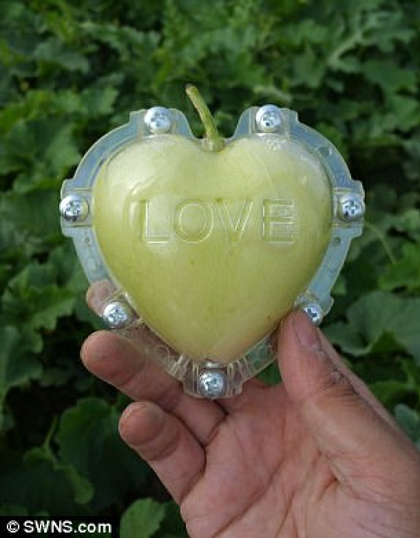 Una pera en forma de Buda y otras verduras y frutas de formas extrañas