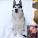 Una terrible sorpresa: la niña regresó y encontró a su amado perro muerto y envuelto en cinta adhesiva Una terrible sorpresa: la niña regresó y encontró a su amado perro muerto y envuelto en cinta adhesiva