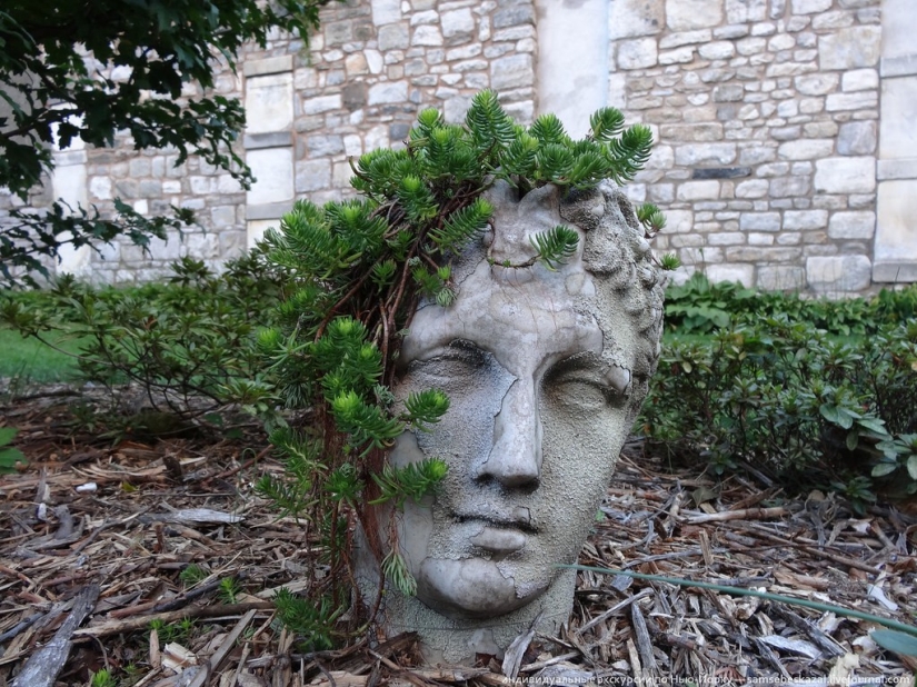 Underground cemeteries of New York