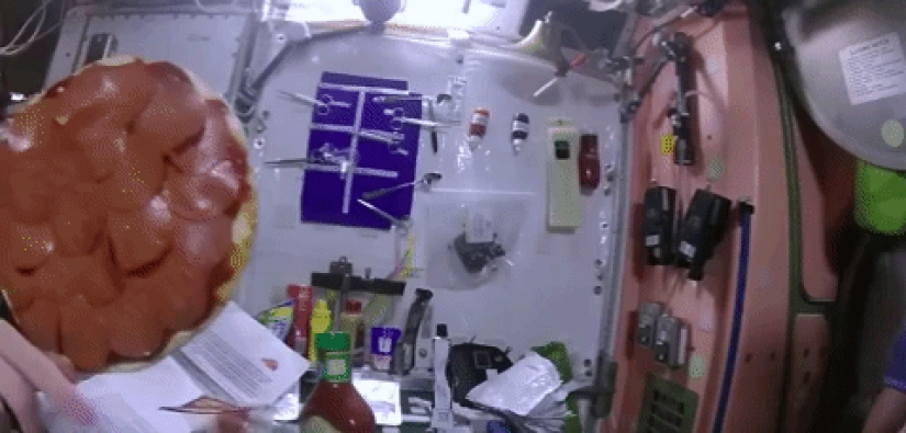 "Unexpectedly delicious": ISS astronauts cooked pizza in space
