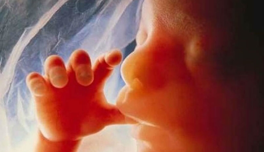 Unique photos: a girl's life before birth Unique photos: a girl's life before birth