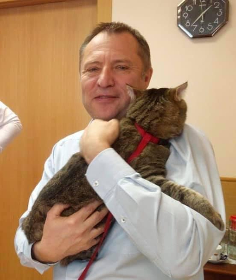 Ural deputies supported the bill banning "soft paws" in seals Ural deputies supported the bill banning "soft paws" in seals