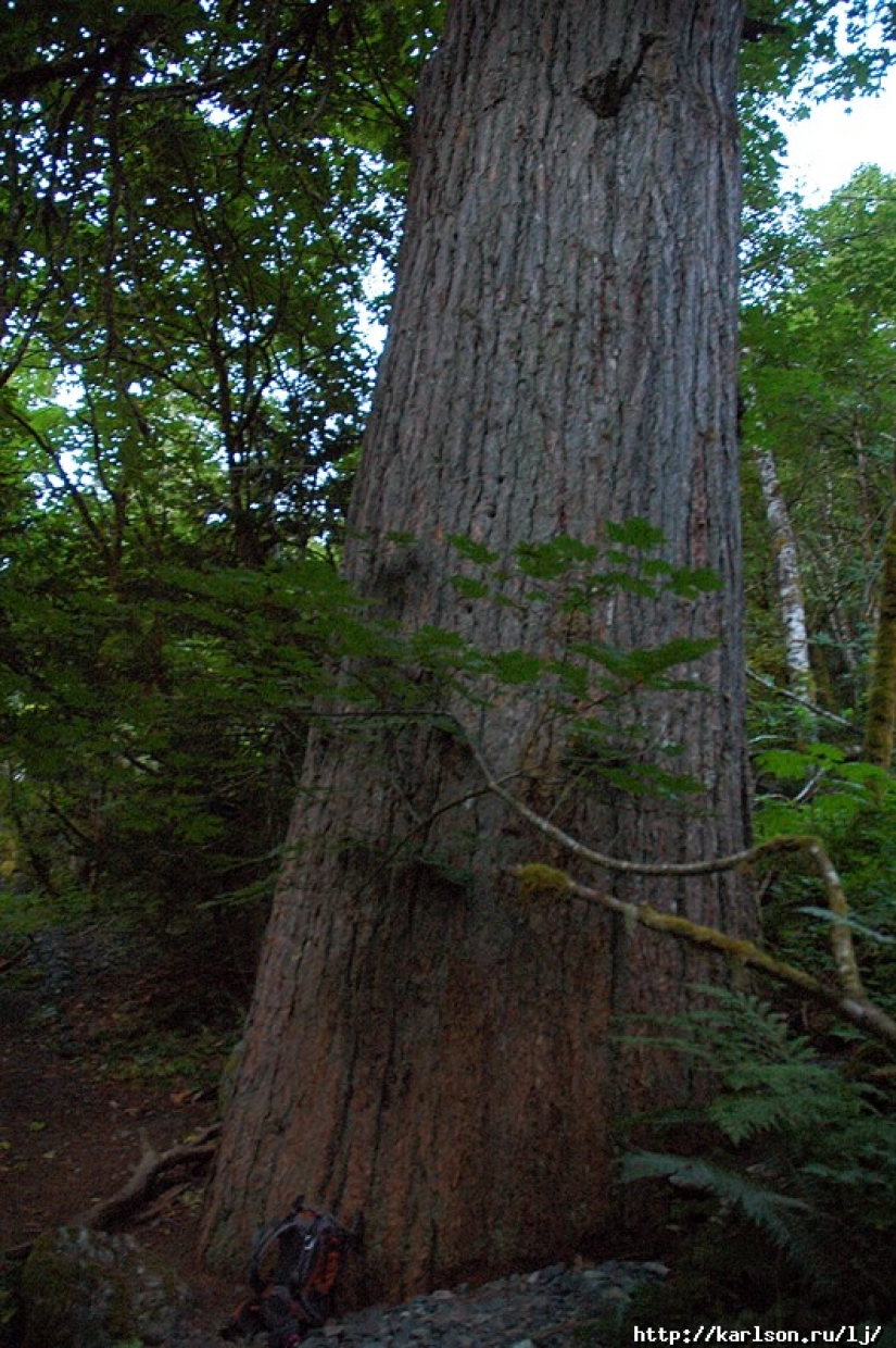USA: Lakes and Waterfalls of the Foss River Valley