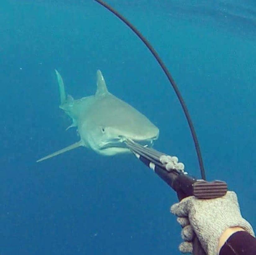 Valentine Thomas is the sexiest fisherwoman on Instagram