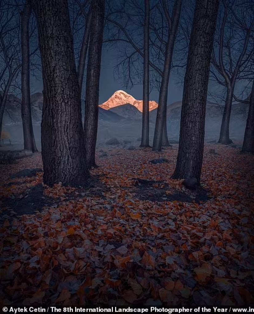 Valles brumosos, bosques mágicos y tormentas monstruosas: se anuncian los ganadores del Increíble Fotógrafo Internacional de Paisajes del Año 2021