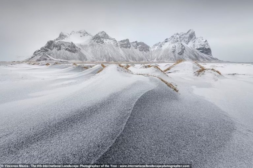 Valles brumosos, bosques mágicos y tormentas monstruosas: se anuncian los ganadores del Increíble Fotógrafo Internacional de Paisajes del Año 2021