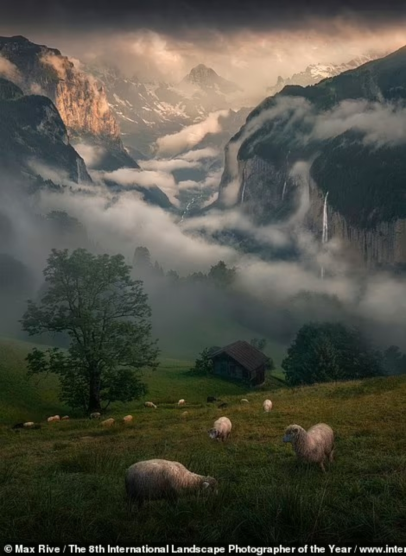 Valles brumosos, bosques mágicos y tormentas monstruosas: se anuncian los ganadores del Increíble Fotógrafo Internacional de Paisajes del Año 2021
