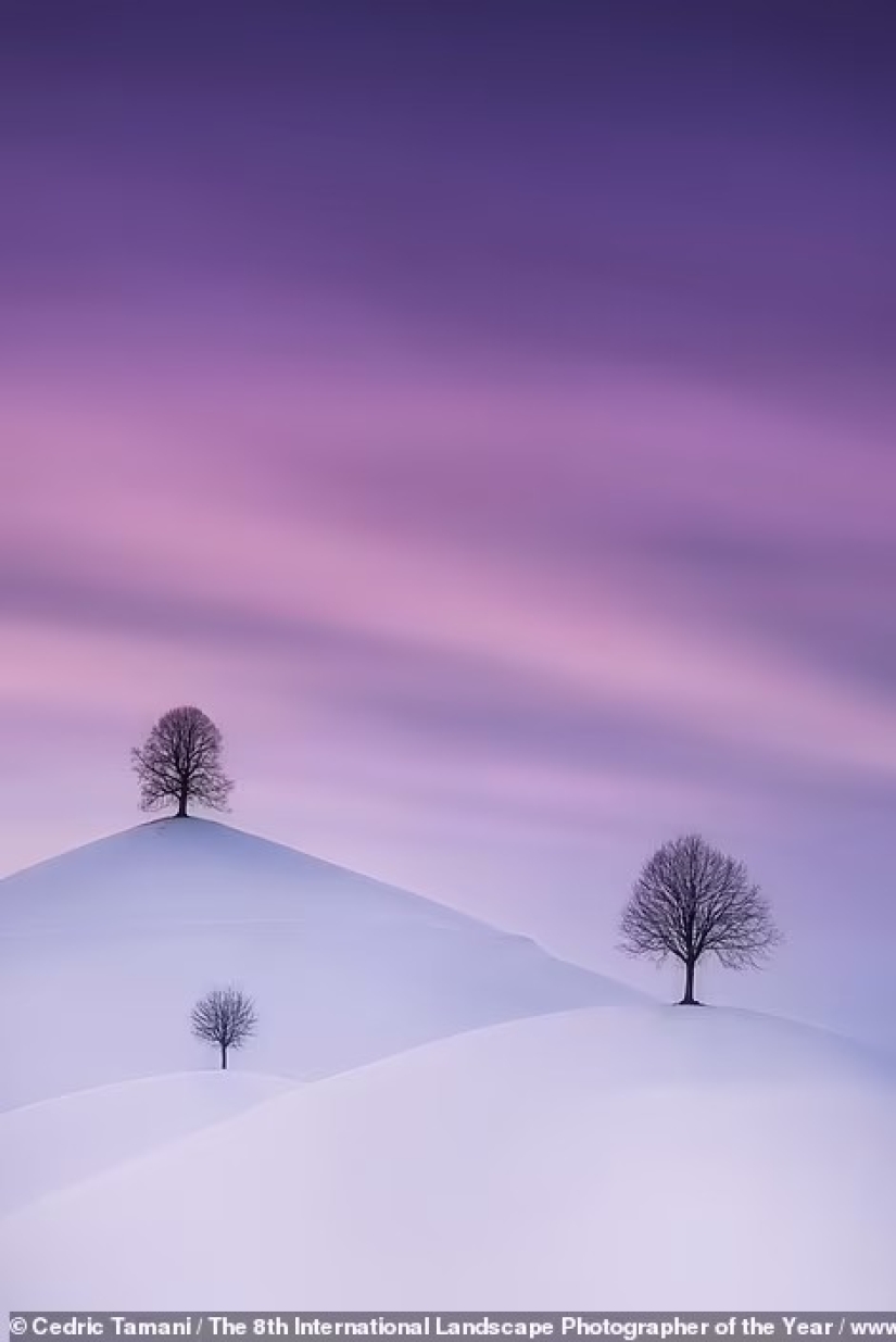 Valles brumosos, bosques mágicos y tormentas monstruosas: se anuncian los ganadores del Increíble Fotógrafo Internacional de Paisajes del Año 2021