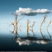 Valles brumosos, bosques mágicos y tormentas monstruosas: se anuncian los ganadores del Increíble Fotógrafo Internacional de Paisajes del Año 2021 Valles brumosos, bosques mágicos y tormentas monstruosas: se anuncian los ganadores del Increíble Fotógrafo Internacional de Paisajes del Año 2021