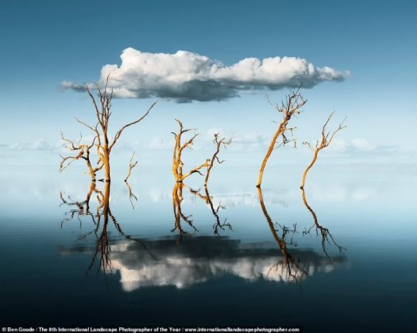 Valles brumosos, bosques mágicos y tormentas monstruosas: se anuncian los ganadores del Increíble Fotógrafo Internacional de Paisajes del Año 2021
