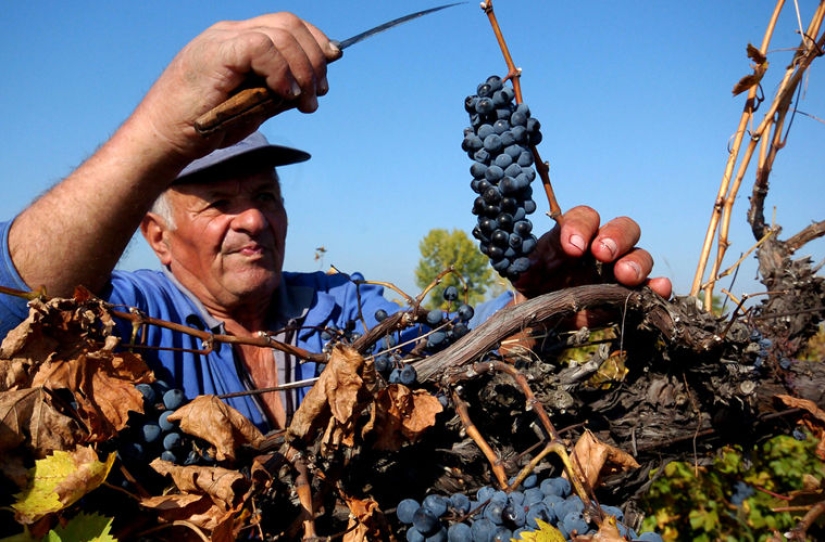 Vas a Bulgaria? ¡Eso es lo que no puedes hacer en este país!