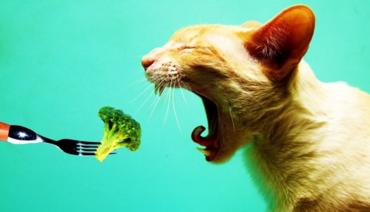 Vegetarian Facts You Might Not Know! Vegetarian Facts You Might Not Know!