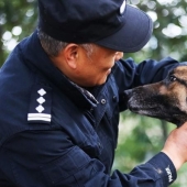 Vejez decente de los perros de servicio: un adiestrador de perros chino ha abierto un refugio para perros jubilados