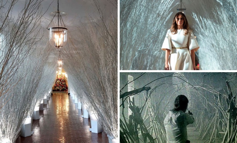 "Very strange funeral": social networks parody the festive decoration of the White House from Melania Trump
