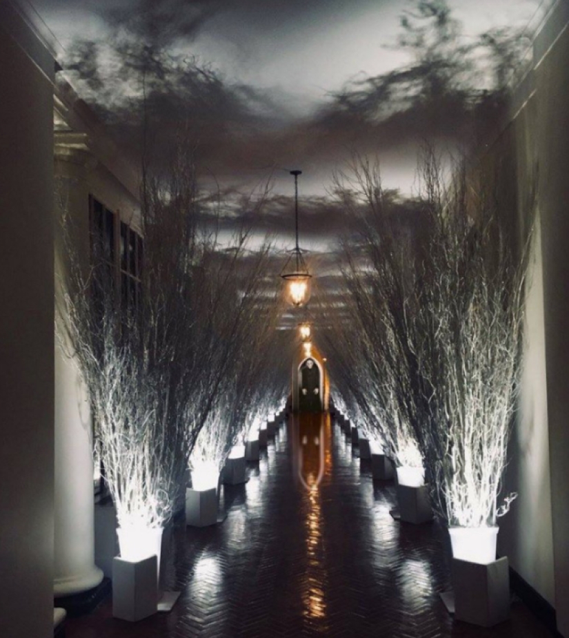"Very strange funeral": social networks parody the festive decoration of the White House from Melania Trump