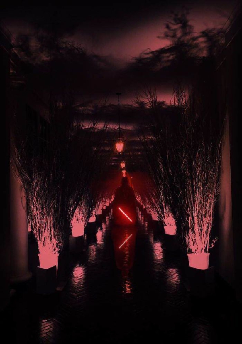 "Very strange funeral": social networks parody the festive decoration of the White House from Melania Trump