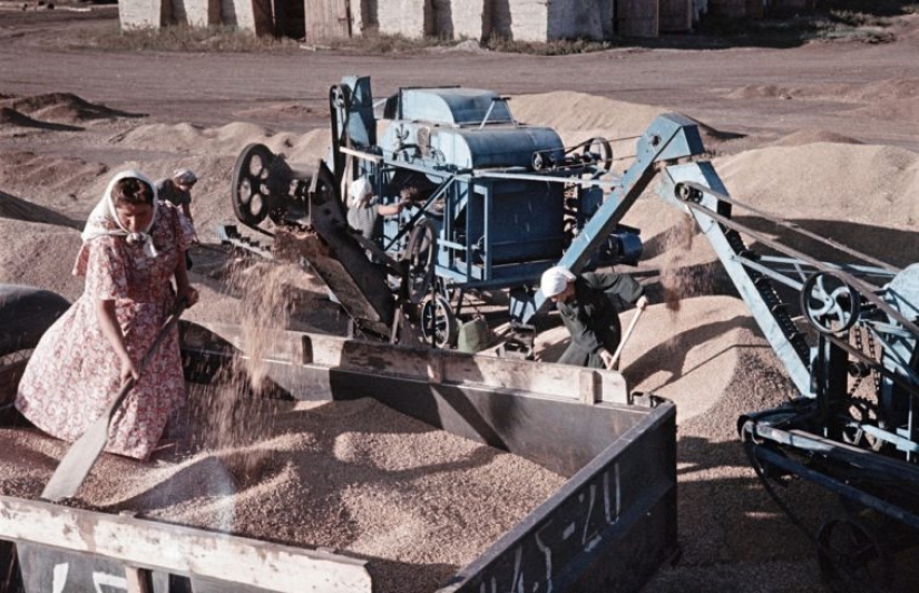 Vida laboral: desconocido color de las fotos de la vida cotidiana en la unión soviética de la década de 1950