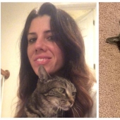 "Wait for me and I'll be back": a missing cat met its owner after 13 years of separation