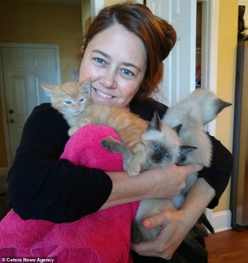 "Wait for me and I'll be back": a missing cat met its owner after 13 years of separation