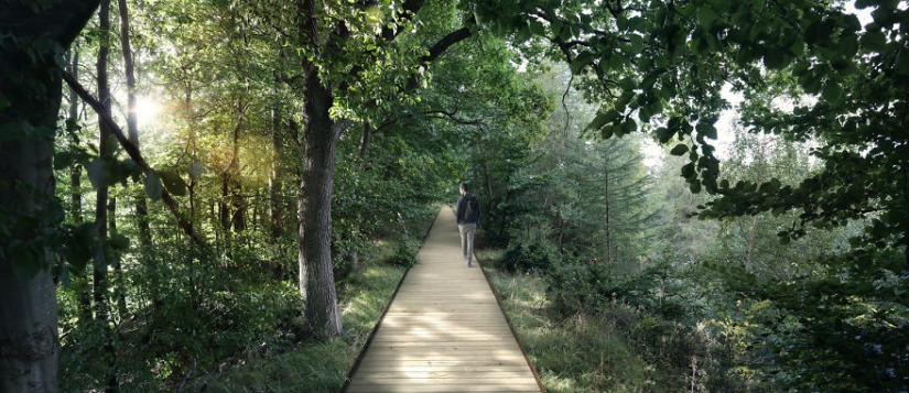 Walk — I don't want to: a spiral tower for hiking will appear in the Danish forest
