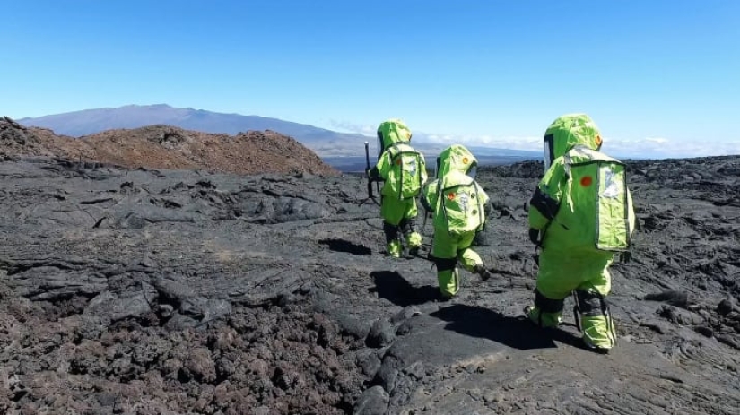 "Walking on grass without shoes and socks is really very interesting": NASA test subjects after 8 months under the dome "Walking on grass without shoes and socks is really very interesting": NASA test subjects after 8 months under the dome