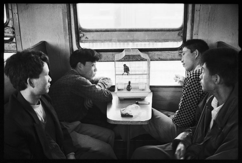 Wang Fuchun y su famosa serie de fotos "Los chinos en el tren" Wang Fuchun y su famosa serie de fotos "Los chinos en el tren"