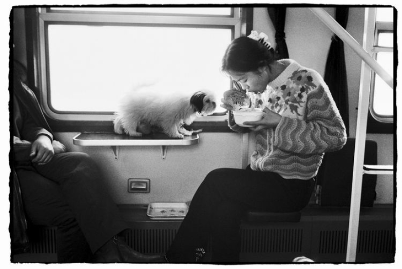 Wang Fuchun y su famosa serie de fotos "Los chinos en el tren" Wang Fuchun y su famosa serie de fotos "Los chinos en el tren"