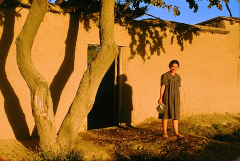Warm and colorful pictures of everyday life in Uzbekistan in 1956