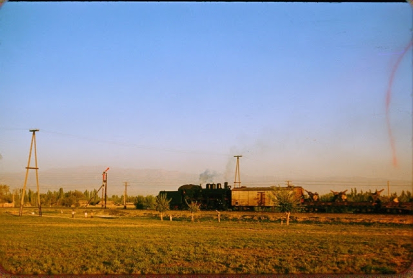 Warm and colorful pictures of everyday life in Uzbekistan in 1956