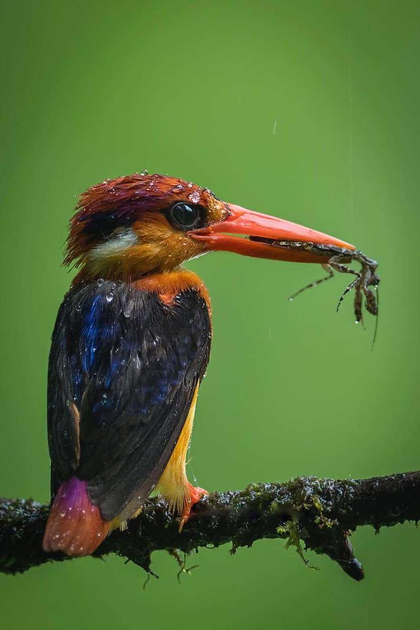Water Element: 30 best photos from the #Water2019 contest that you should definitely see Water Element: 30 best photos from the #Water2019 contest that you should definitely see