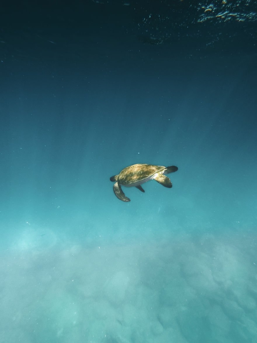 Water Element: 30 best photos from the #Water2019 contest that you should definitely see Water Element: 30 best photos from the #Water2019 contest that you should definitely see
