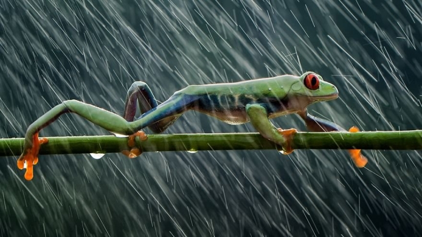 Water Element: 30 best photos from the #Water2019 contest that you should definitely see Water Element: 30 best photos from the #Water2019 contest that you should definitely see