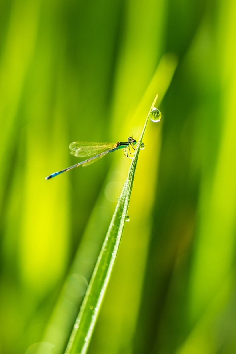 Water Element: 30 best photos from the #Water2019 contest that you should definitely see Water Element: 30 best photos from the #Water2019 contest that you should definitely see
