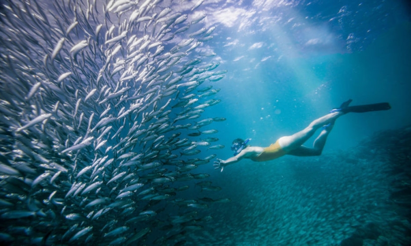 Water Element: 30 best photos from the #Water2019 contest that you should definitely see Water Element: 30 best photos from the #Water2019 contest that you should definitely see
