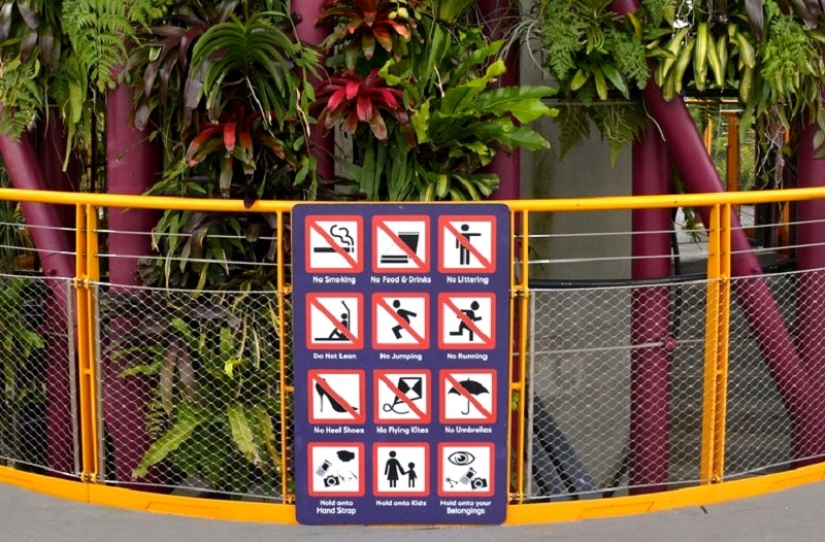 We do not understand: why are they fined and imprisoned in Singapore We do not understand: why are they fined and imprisoned in Singapore