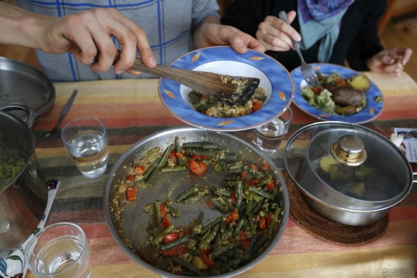 We feed from the garbage, and you? We feed from the garbage, and you?