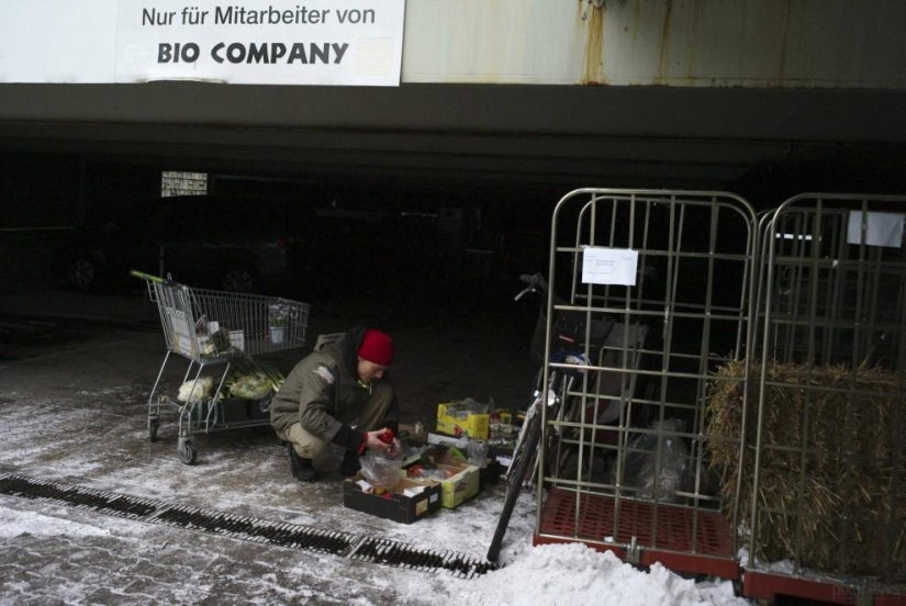 We feed from the garbage, and you? We feed from the garbage, and you?