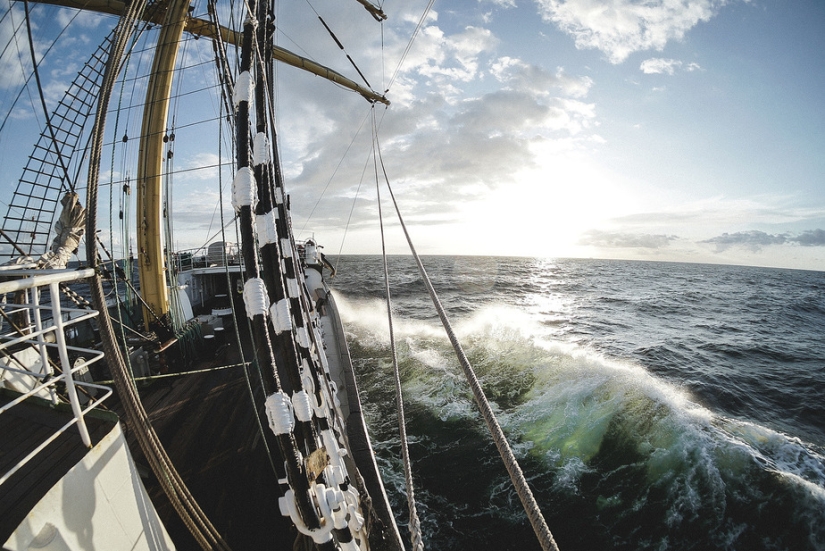 "We feel sick when there is no pitching." Sailors — about their love "We feel sick when there is no pitching." Sailors — about their love