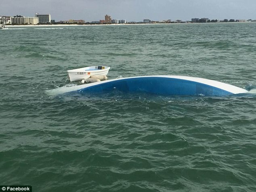 "We lost everything in 20 minutes": the couple wanted to start a new life on a yacht, but happiness lasted only two days