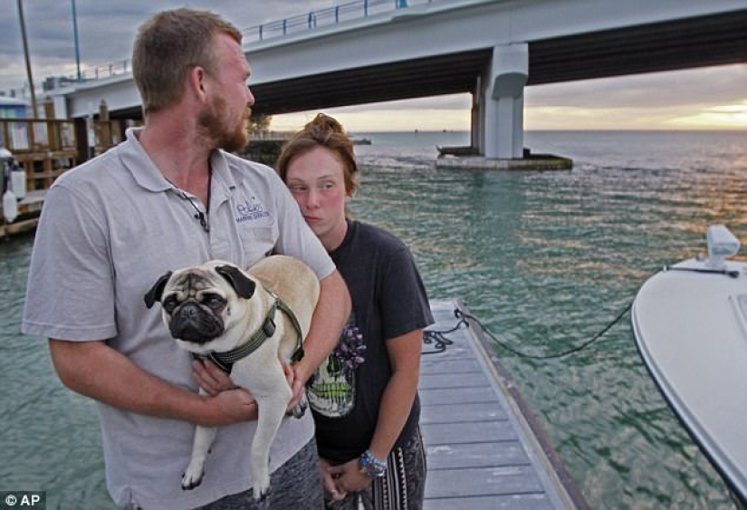 "We lost everything in 20 minutes": the couple wanted to start a new life on a yacht, but happiness lasted only two days